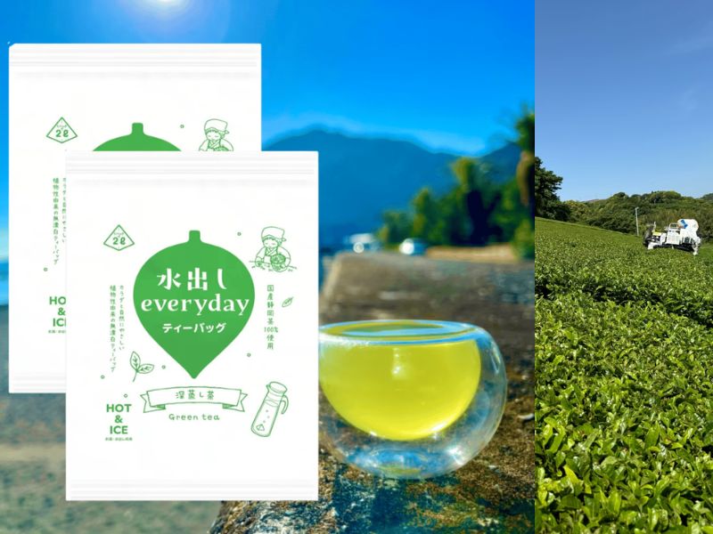 【10% off】Pocket Marche Cold Brew Daily Deep Steamed Tea Leaves (31 bags x 2 packs)